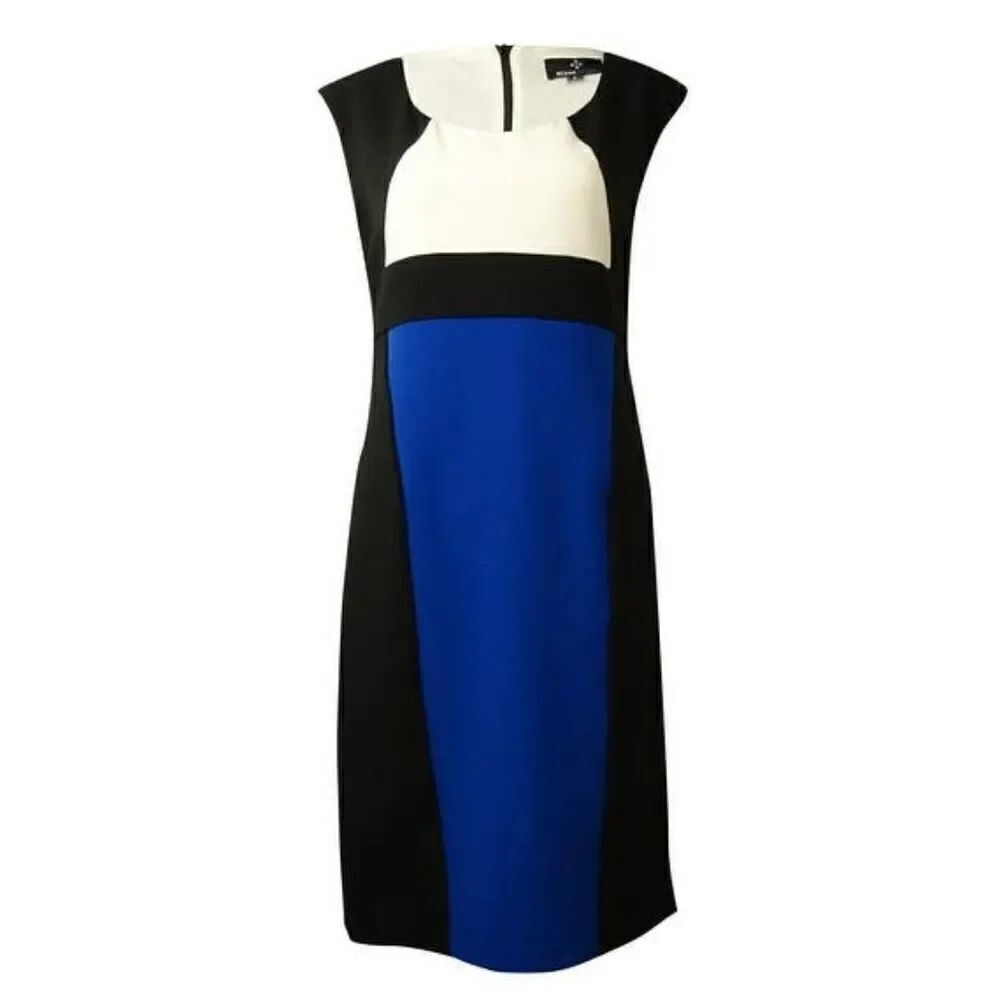 Ronni Nicole Sleeveless Color Block Sheath Dress